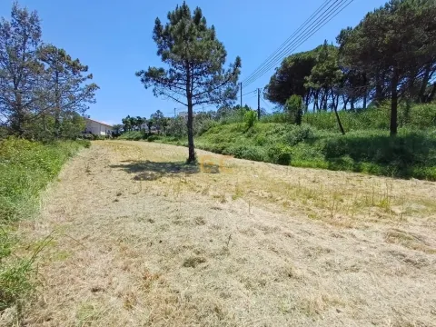 Городской участок