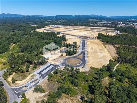 img_0