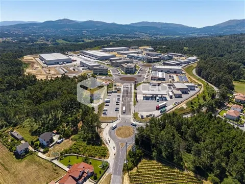 img_20