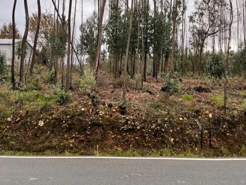 Terreno Para Construção