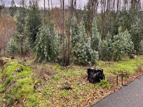 Terreno Para Construção