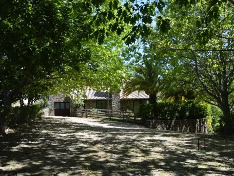Quinta T4