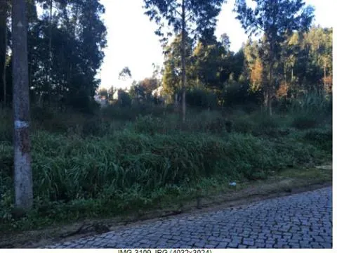 Terreno Rústico 13.400 m² Vikla Nova de Gaia