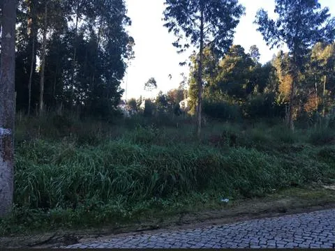 Terreno Rústico 13.400 m² Vikla Nova de Gaia