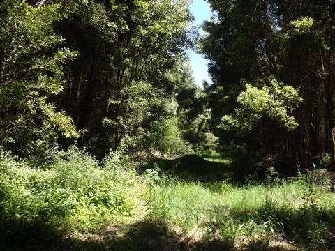 terreno Moledo- cristelo