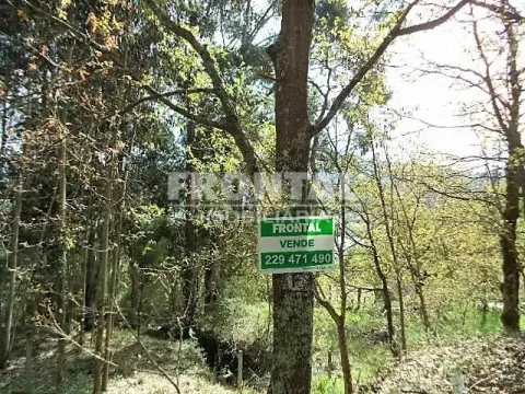 Terrenos em Penafiel