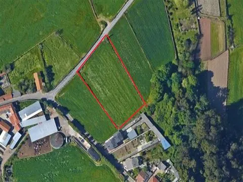 Terreno - 4.900 m² (Zona Habitacional) | São Mamede do Coronado, Trofa