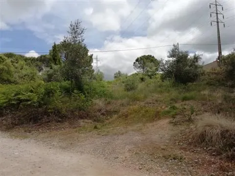 Lote de terreno para construção - Coimbra