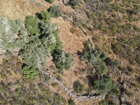 Terrain rural