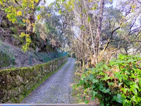 Fattoria / Cascina / Casale 10 Vani