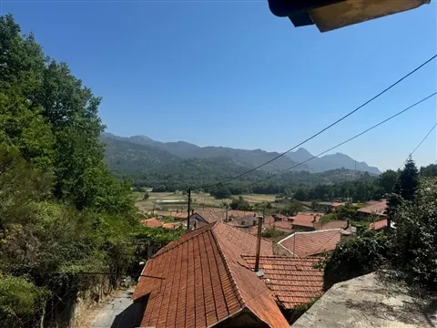 img_0