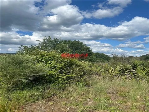 Quinta