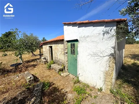 img_35