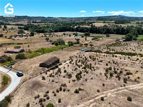 Quintinha