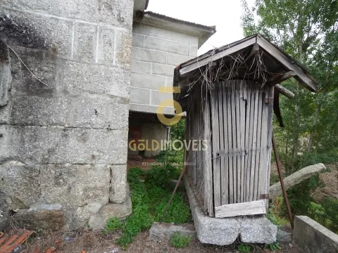 img_8
