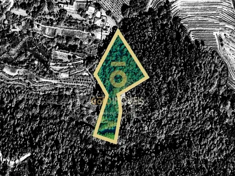 Landgrundstück