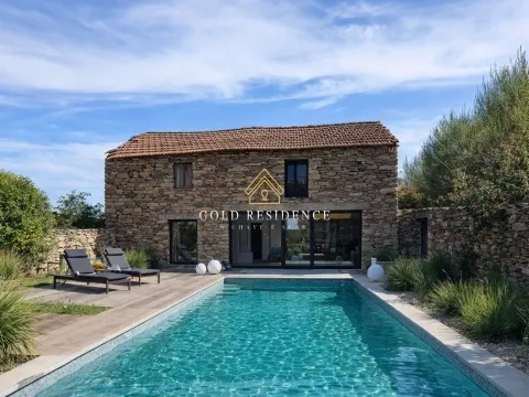 img_8