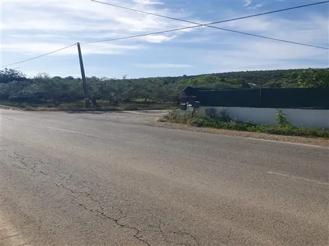 Terreno