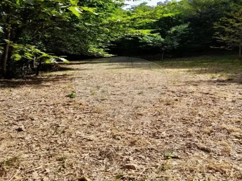 Terreno  para venda