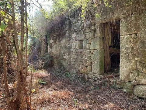 Vivienda 1 habitación
