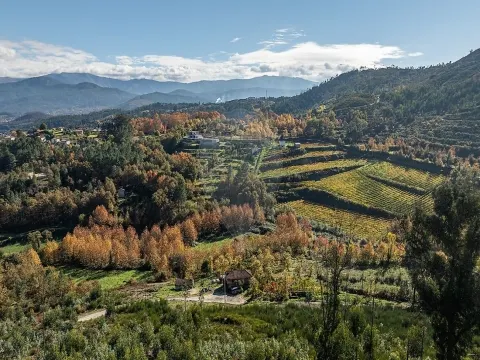 Moradia T0 para venda