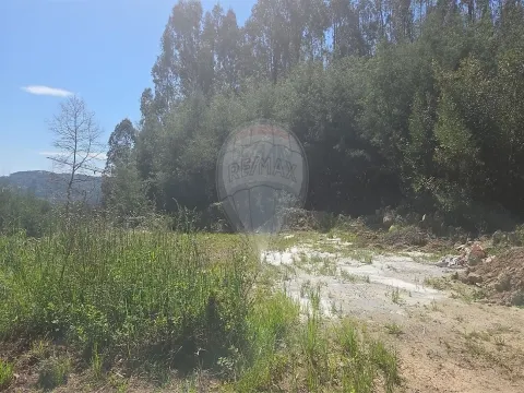Terreno  para venda