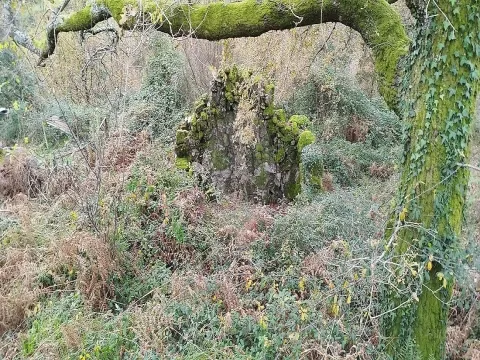 Terreno  para venda