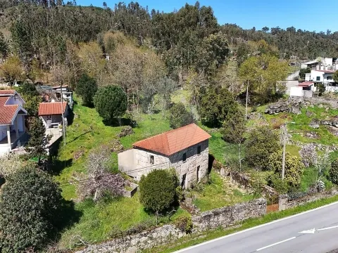 img_6