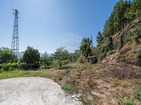 img_20