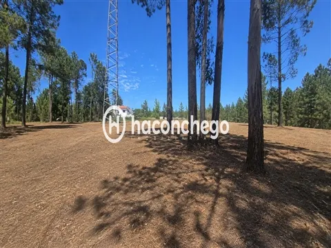 Real estate land