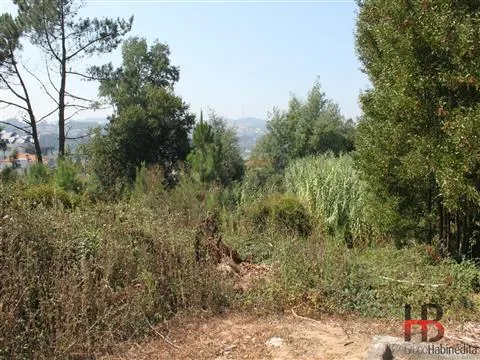 Building plot