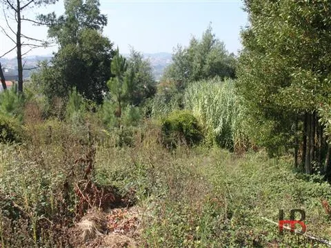 Building plot