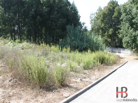 Building plot