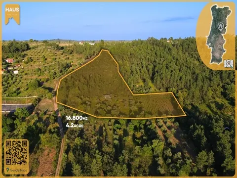  Rustic Land of 16,800m² – Building, Well, Vineyard, Orchard and Olive Grove