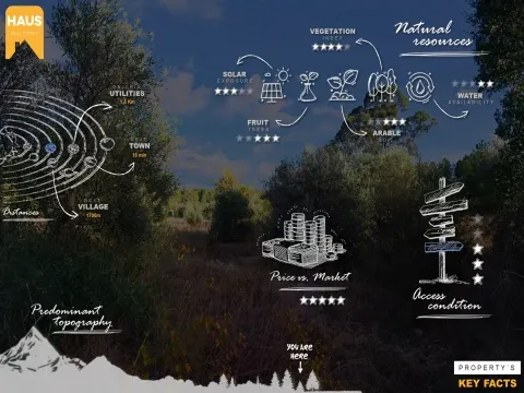 Terrain Rustique 2 300m² avec Murs en Pierre – Juncal do Campo