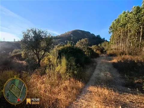 Refúgio do Vale: Terreno Plano Off-Grid | Castelo Branco