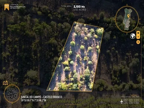 Refúgio do Vale: Terreno Plano Off-Grid | Castelo Branco