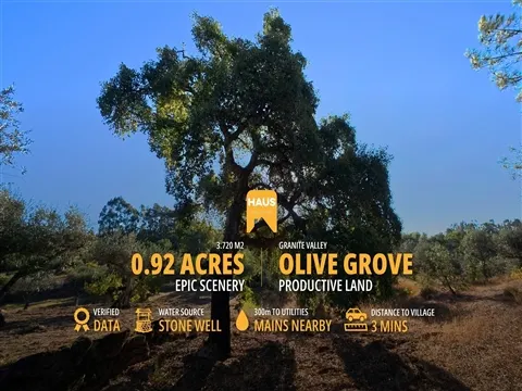 Terrain Fertile de 3 720m² avec Puits | Castelo Branco, PT