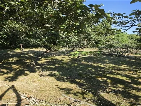 Terreno em Leça do Balio 