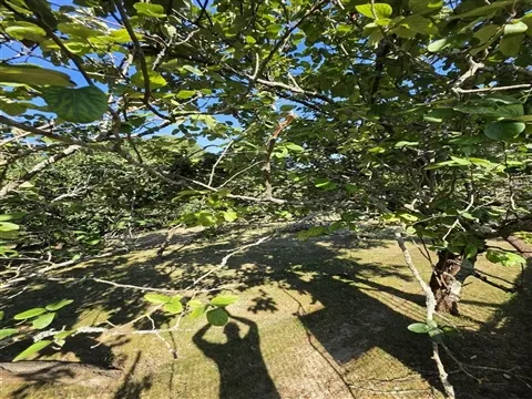 Terreno em Leça do Balio 