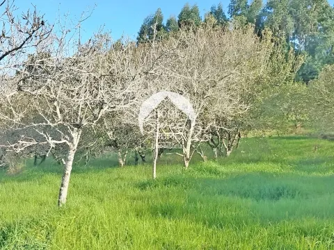 Quinta Agrícola, Terreno em São Jorge
