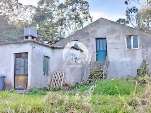 Quinta Agrícola, Terreno em São Jorge