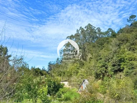 Moradia + 2 Palheiros com uma área total de 3070m2