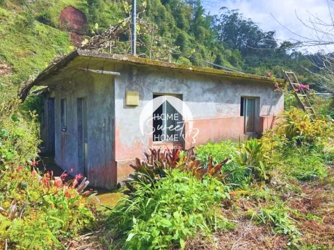 Moradia + 2 Palheiros com uma área total de 3070m2