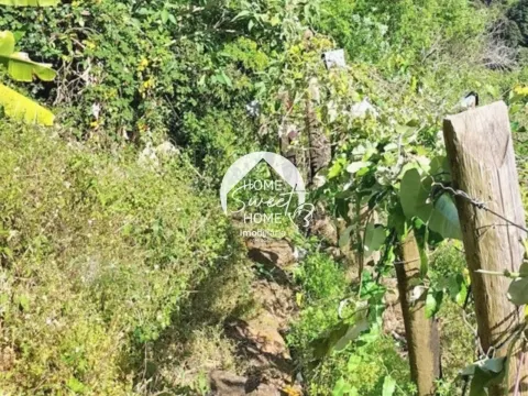 Terreno Rústico para construir, junto à Laurisilva