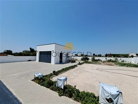 img_8