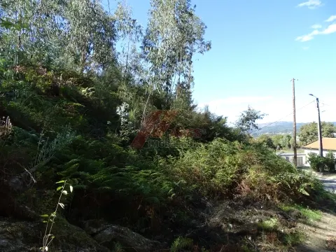 Terrain à bâtir Studio