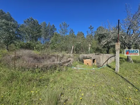 Quinta em Amarelos - 15 min. Castelo Branco