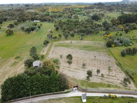 Fattoria / Cascina / Casale