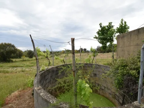 Fattoria / Cascina / Casale